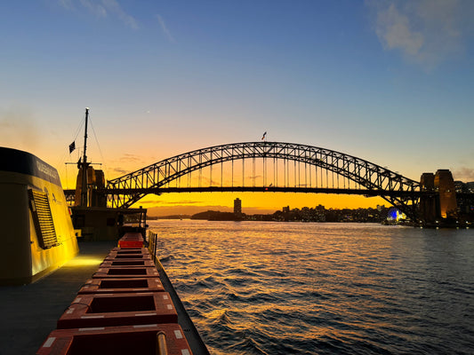 Goodnight Sydney - By Haig Gilchrist - Framed Fine Art Print – Ilford Paper (1100mm x 770mm) (Copy) (Copy) (Copy)